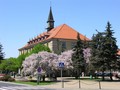 Swarzdz dzi